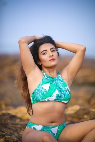 新噢2025年精准资料220期，平台分析