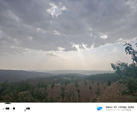 【调研】守得云开见月明：陕甘产区苹果坐果调研