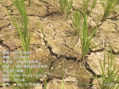 中央气象台:全国农业气象月报(2025年05月03日)