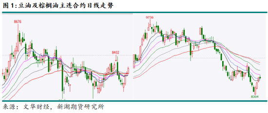 新湖农产（油脂）12月报：暂时反弹， 趋势走强仍需等待