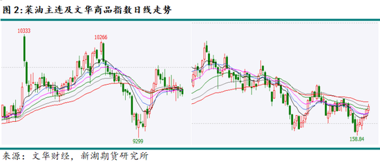 新湖农产（油脂）12月报：暂时反弹， 趋势走强仍需等待