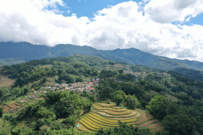 佤山幸福路！国寿驻村书记博鳌讲述边疆振兴实践